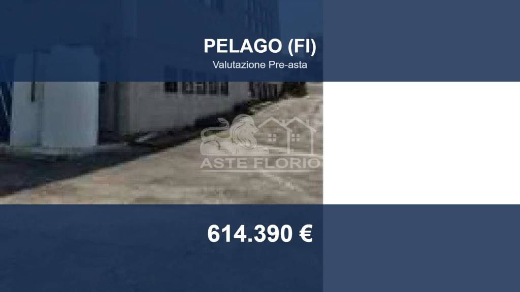 capannone in vendita a Pelago