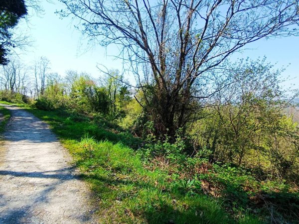terreno agricolo in vendita a Pelago in zona Borselli