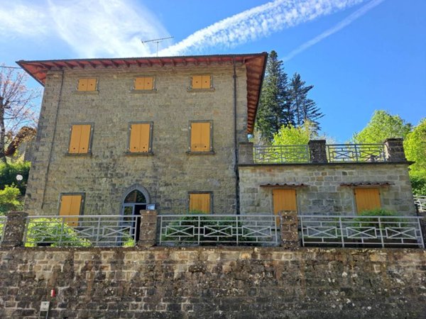 casa indipendente in vendita a Pelago in zona Consuma