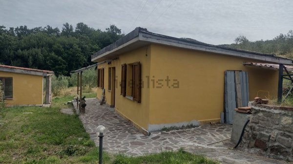 terreno agricolo in vendita a Pelago