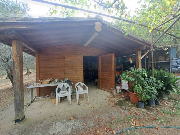 terreno agricolo in vendita a Pelago