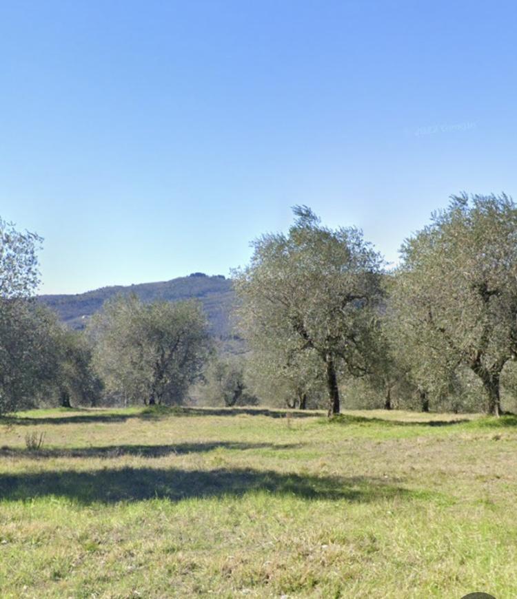 negozio in vendita a Pontassieve in zona Molino del Piano