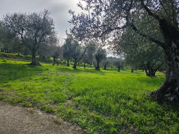 negozio in vendita a Pontassieve in zona San Martino a Quona