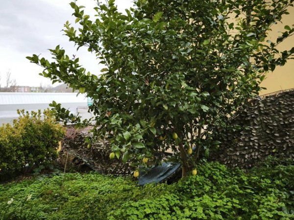 appartamento in vendita a Pontassieve in zona Montebonello