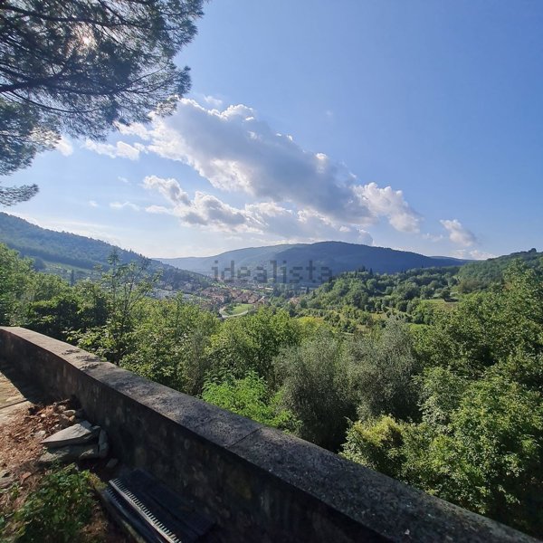 esavano in vendita a Pontassieve