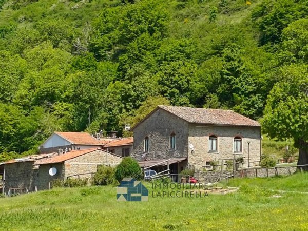 casa indipendente in vendita a Pontassieve in zona Colognole
