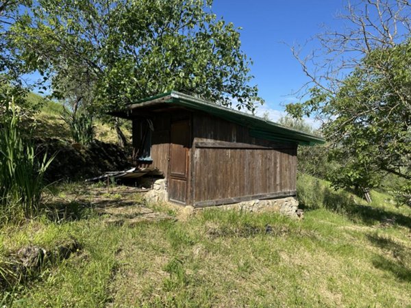 terreno agricolo in vendita a Pontassieve