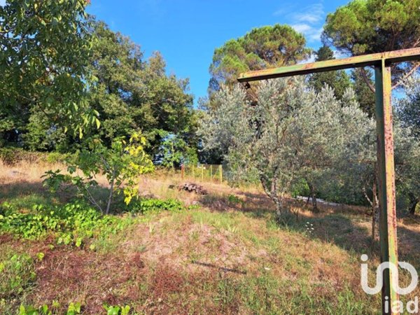 terreno agricolo in vendita a Pontassieve