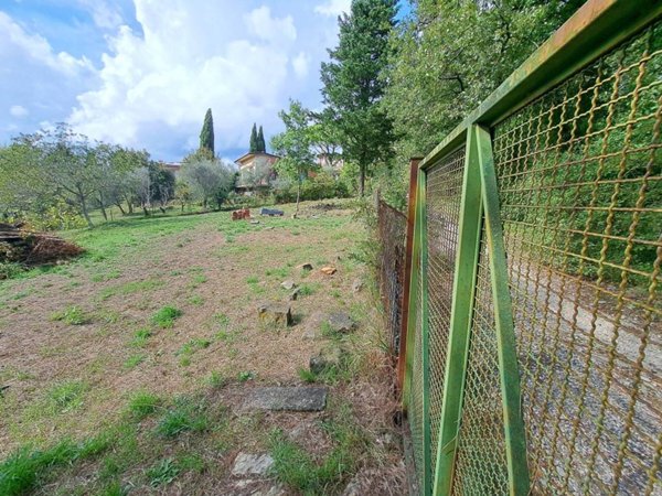 terreno agricolo in vendita a Pontassieve
