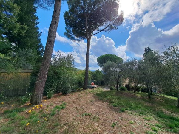 terreno agricolo in vendita a Pontassieve