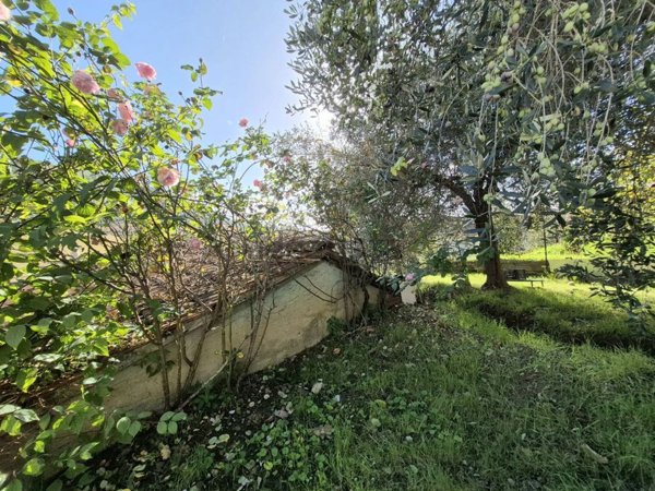 appartamento in vendita a Pontassieve