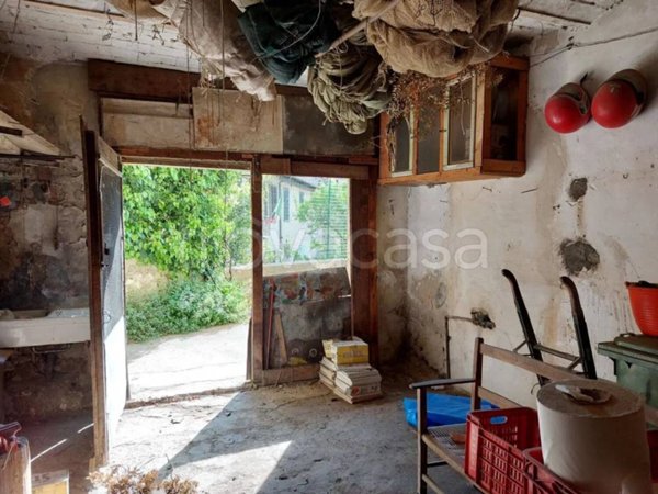 immagine annuncio 0 di 7