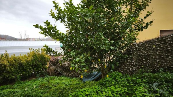 appartamento in vendita a Pontassieve in zona Montebonello