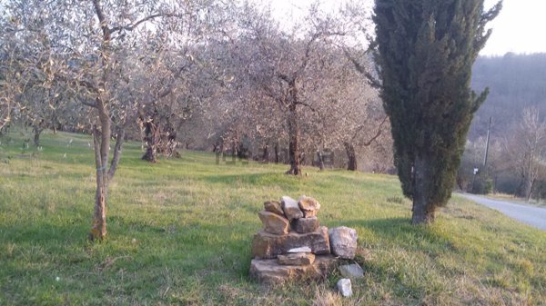 terreno agricolo in vendita a Pontassieve