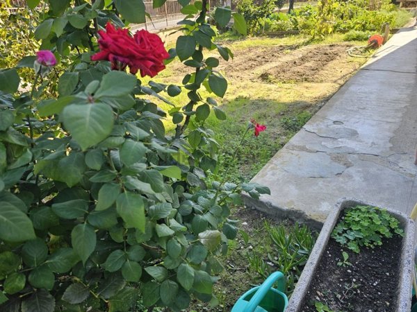 appartamento in vendita a Pontassieve