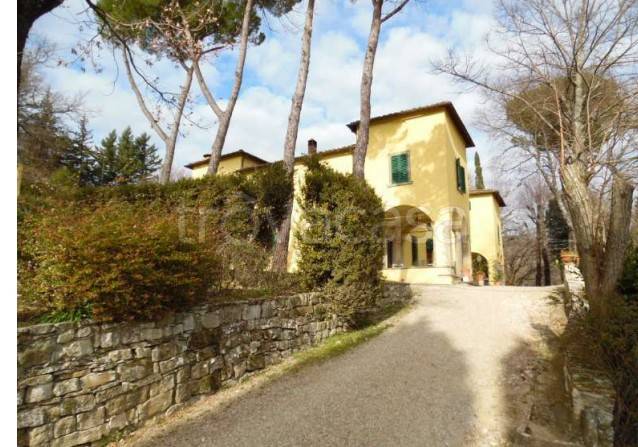 negozio in vendita a Pontassieve