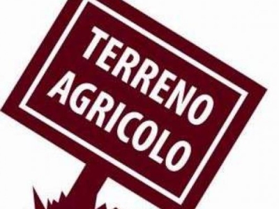 terreno agricolo in vendita a Pontassieve