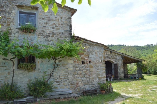 esavano in vendita a Pontassieve