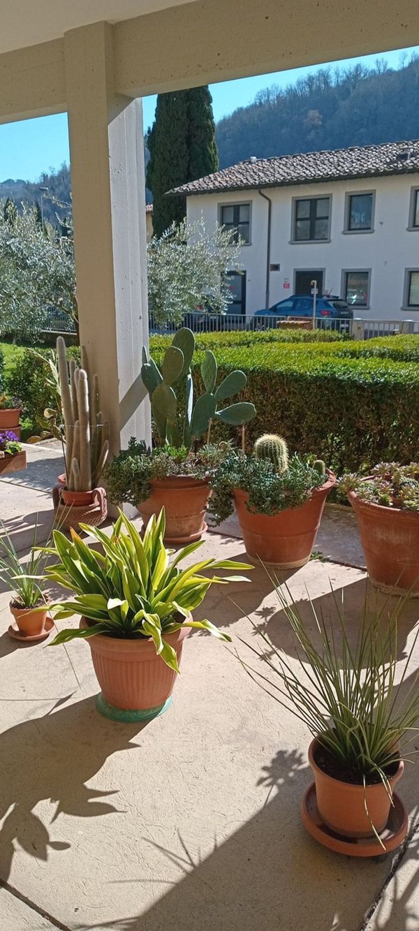 appartamento in vendita a Pontassieve