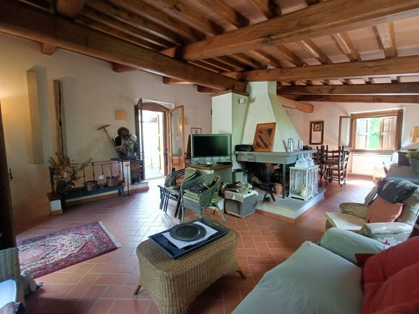 esavano in vendita a Pontassieve