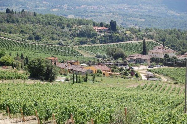 casale in vendita a Pontassieve