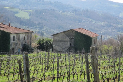 casa indipendente in vendita a Pontassieve in zona Colognole