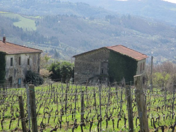casa indipendente in vendita a Pontassieve in zona Colognole