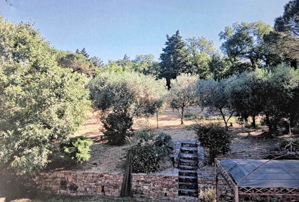 terreno agricolo in vendita a Pontassieve