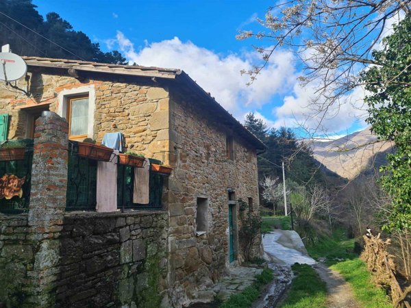 quadrivano in vendita a Reggello