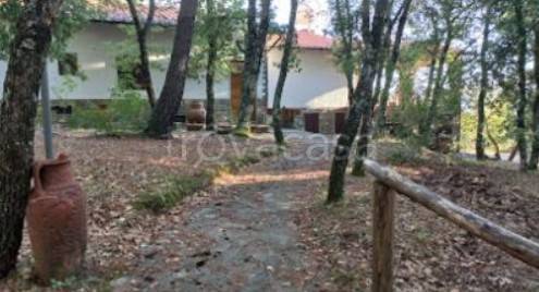 casa indipendente in vendita a Reggello in zona Vallombrosa