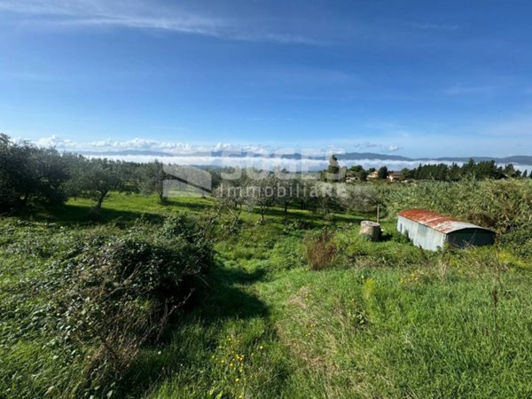 terreno agricolo in vendita a Reggello
