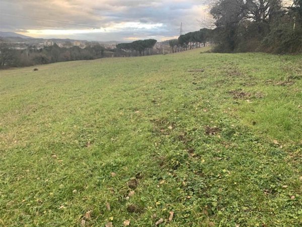 terreno agricolo in vendita a Reggello