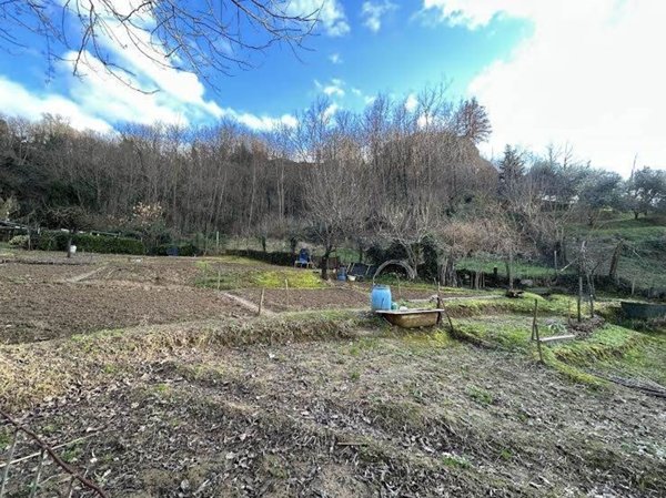 terreno agricolo in vendita a Reggello