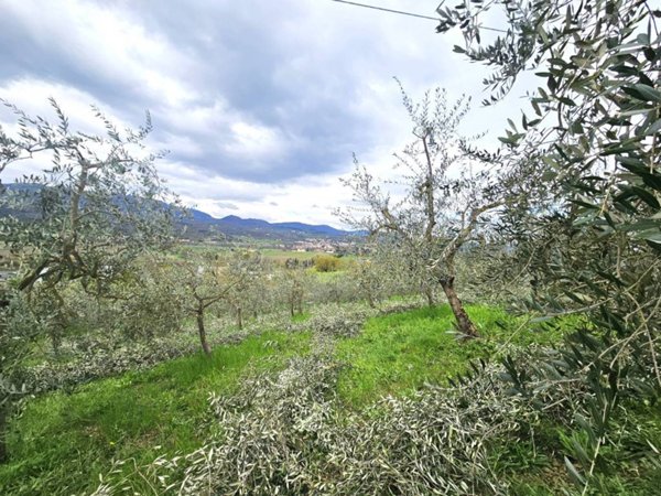 terreno agricolo in vendita a Reggello