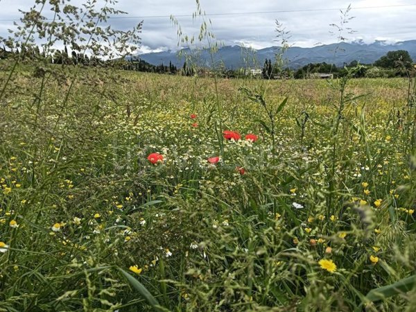 casa indipendente in vendita a Reggello