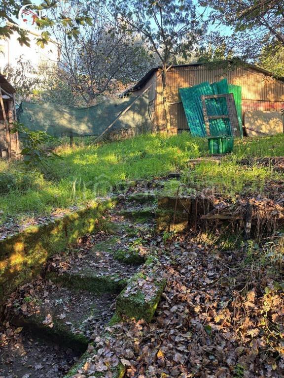 terreno agricolo in vendita a Reggello