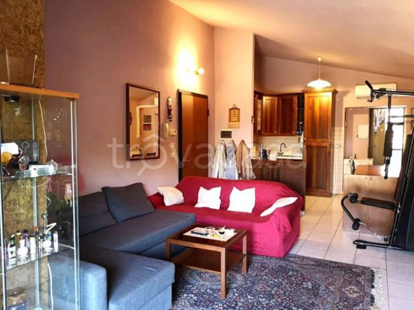 immagine annuncio 0 di 14