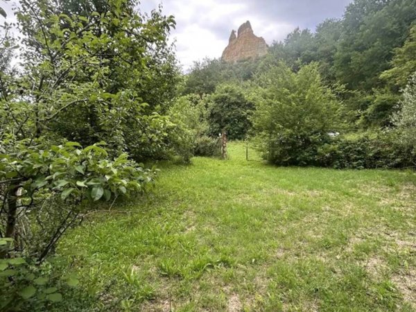 terreno agricolo in vendita a Reggello in zona Montanino