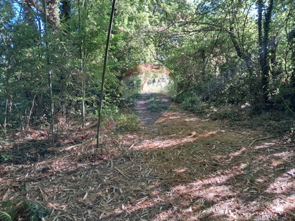 locale di sgombero in vendita a Reggello