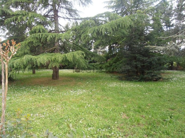 negozio in vendita a Reggello