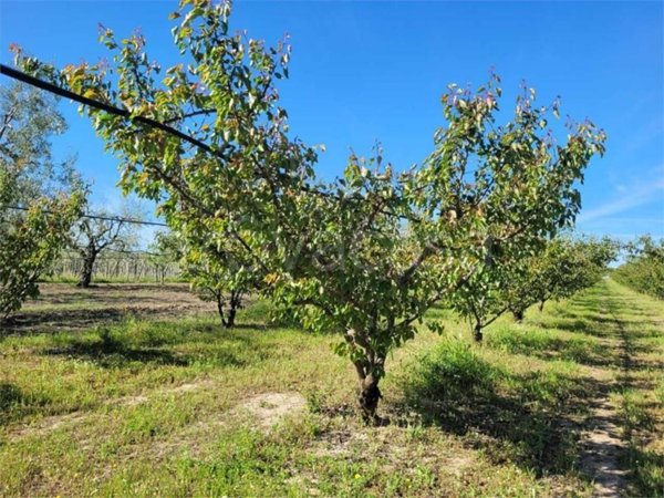 terreno edificabile in vendita a Reggello