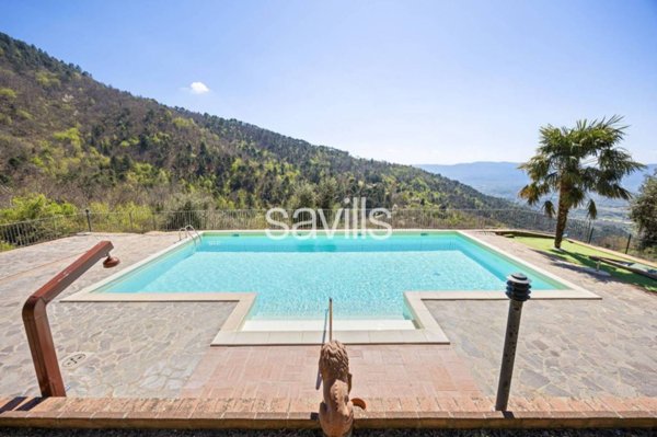 azienda agricola in vendita a Reggello