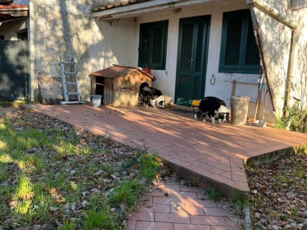 casa indipendente in vendita a Reggello in zona Montanino