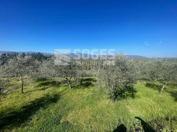 terreno agricolo in vendita a Reggello
