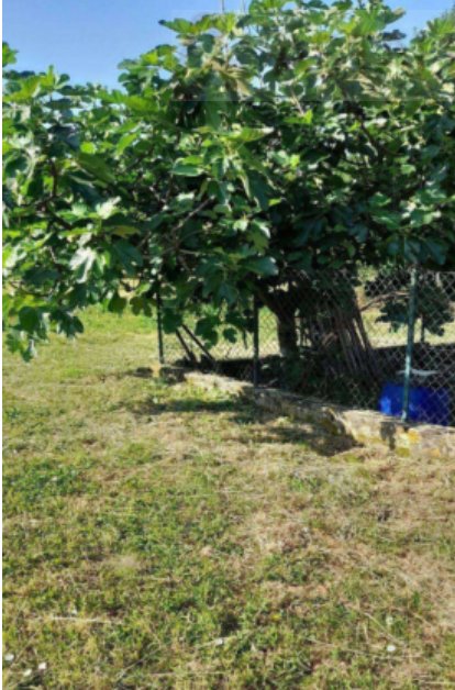 terreno edificabile in vendita a Reggello