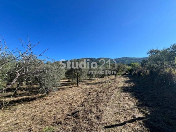 casa indipendente in vendita a Reggello