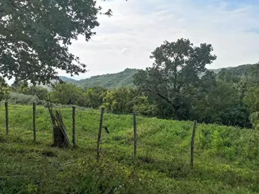 terreno agricolo in vendita a Reggello in zona Saltino