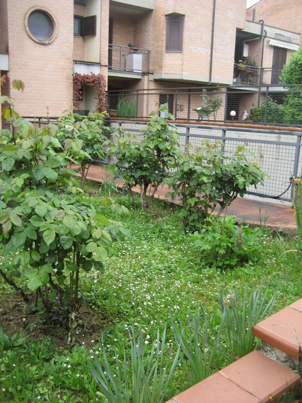 appartamento in vendita a Reggello in zona San Clemente