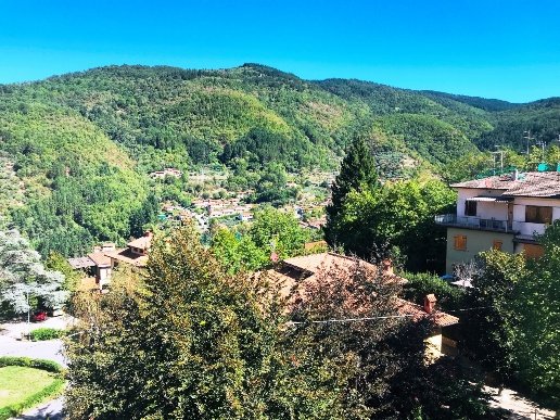 appartamento in vendita a Reggello in zona Tosi