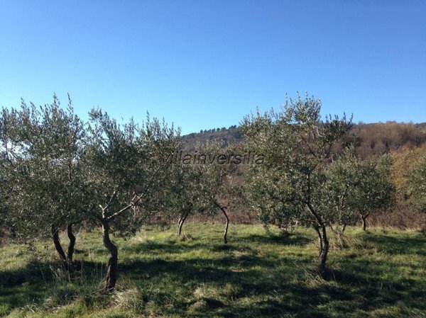 casale in vendita a Reggello